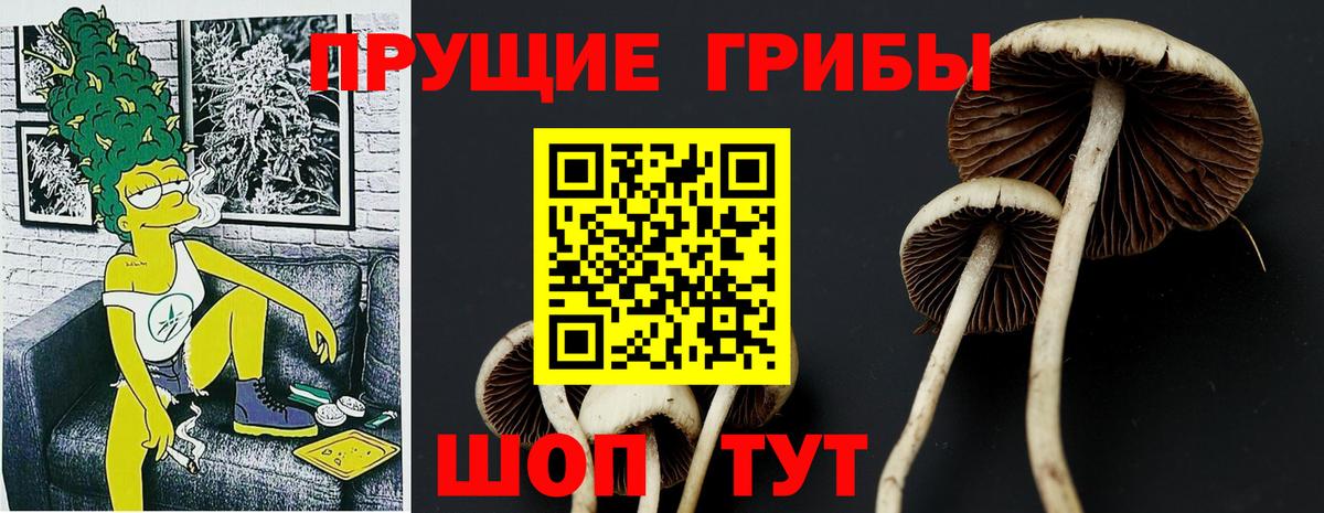 Галлюциногенные грибы Cubensis  Вход с VPN  Псилоцибиновые грибы ЛСД  Альметьевск 
